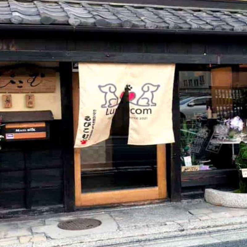 るぴこむ　京町家の「わんこのお宿・幼稚園」