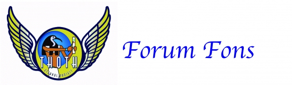 Forum Fons