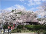妙行寺(人生相談のお寺）