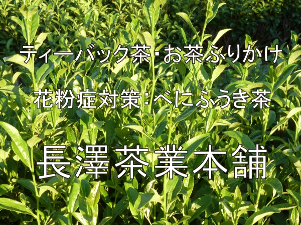 長澤茶業本舗