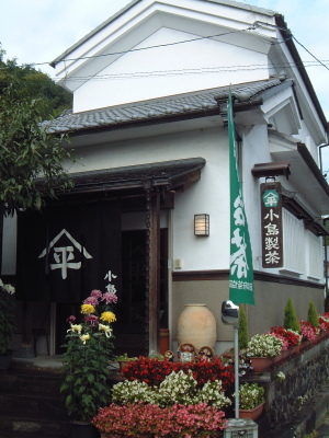 小島製茶