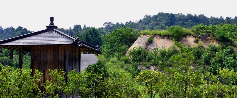 延命寺の写真